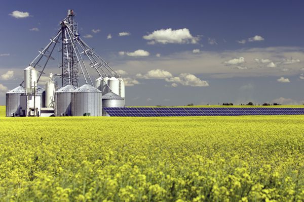 Recover Unpaid Rental Compensation