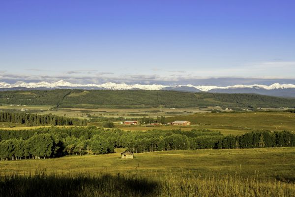 Negotiate Surface Lease and Right of Way Agreements